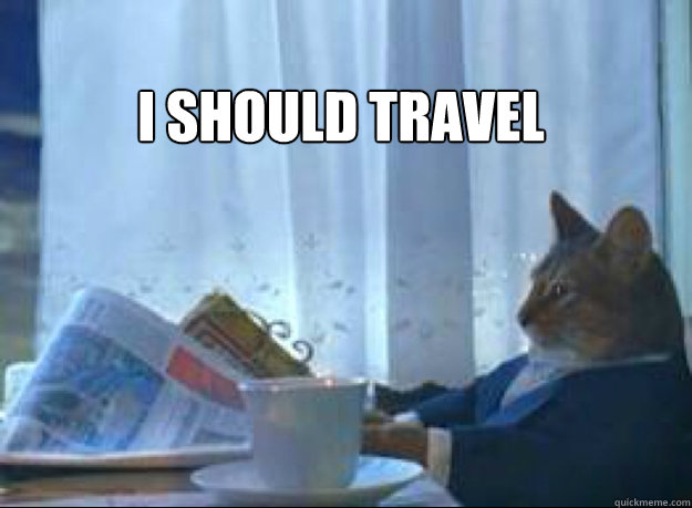 i should travel  - I should buy a boat cat