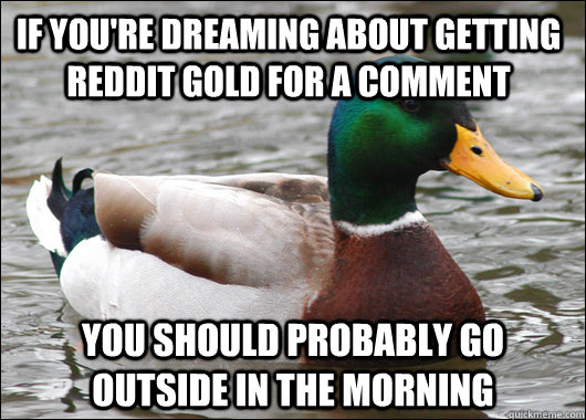if youre dreaming about getting reddit gold for a comment y - Actual Advice Mallard