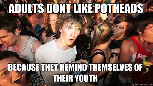 adults dont like potheads because they remind themselves of - Sudden Clarity Clarence