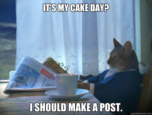 its my cake day i should make a post - The One Percent Cat