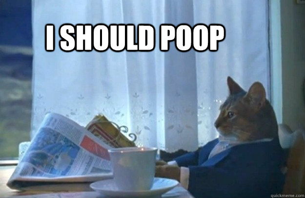 i should poop - Sophisticated Cat