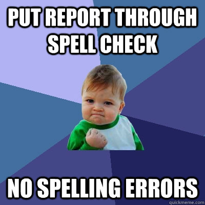 put report through spell check no spelling errors - Success Kid