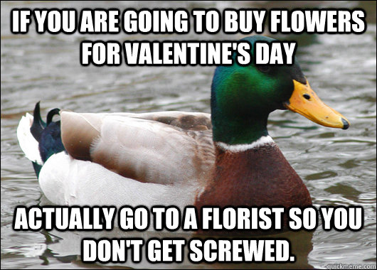 if you are going to buy flowers for valentines day actually - Actual Advice Mallard