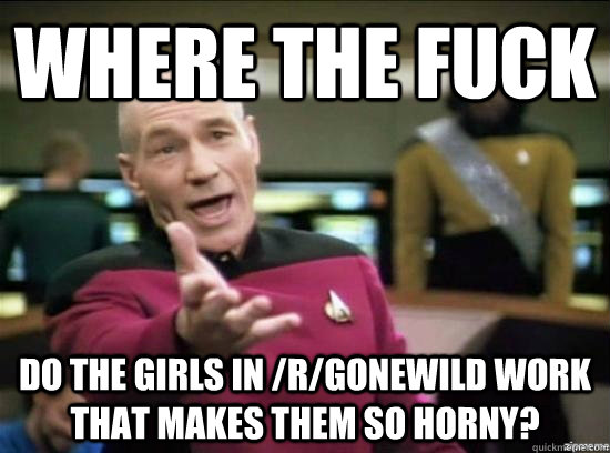 where the fuck do the girls in rgonewild work that makes t - Annoyed Picard HD