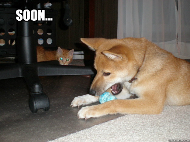 soon - Soon...