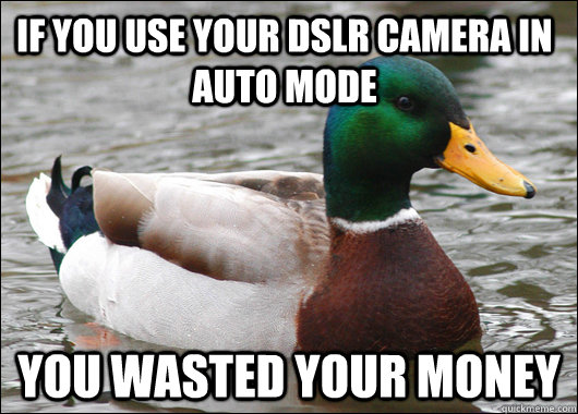 if you use your dslr camera in auto mode you wasted your mon - Actual Advice Mallard