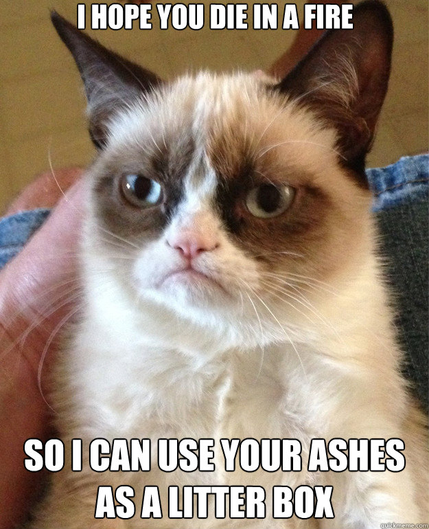 i hope you die in a fire so i can use your ashes as a litter - Grumpy Cat