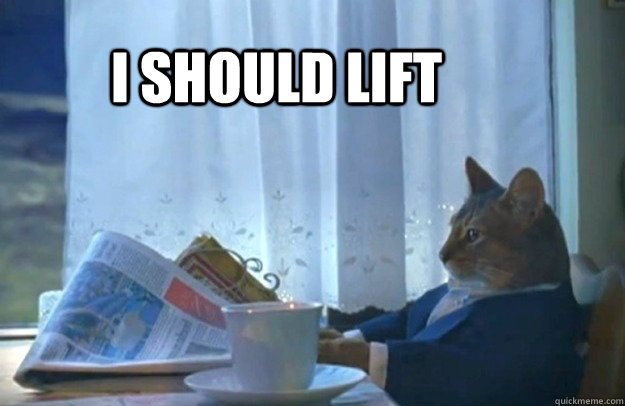 i should lift - Sophisticated Cat
