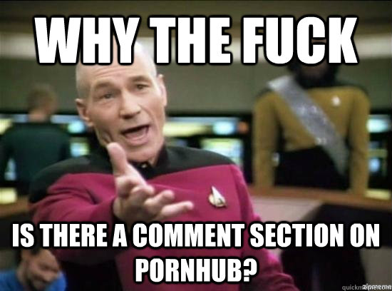 why the fuck is there a comment section on pornhub - Annoyed Picard HD