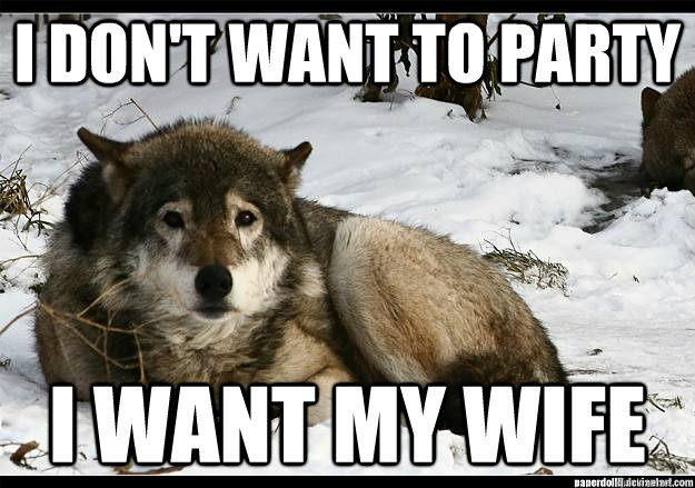 i dont want to party i want my wife -