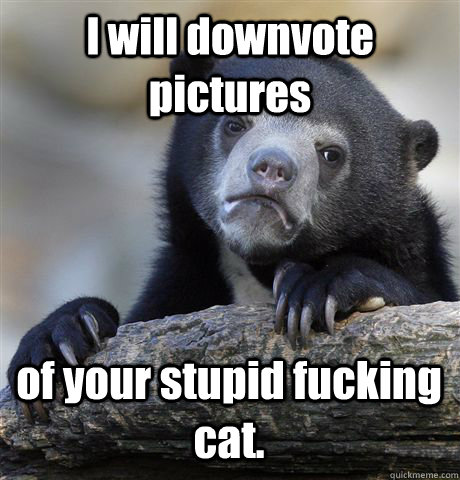 i will downvote pictures of your stupid fucking cat - Confession Bear