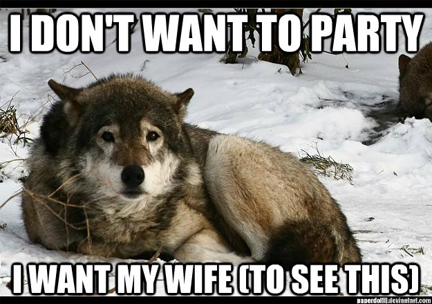 i dont want to party i want my wife to see this -