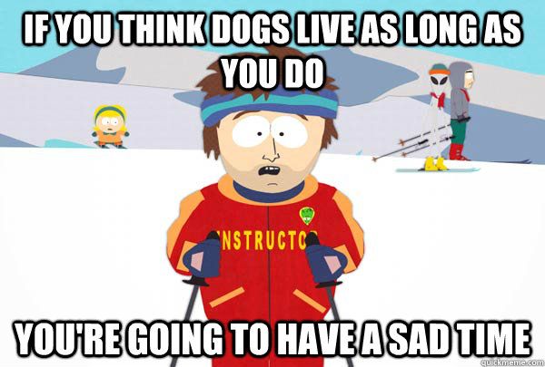 if you think dogs live as long as you do youre going to hav - Super Cool Ski Instructor