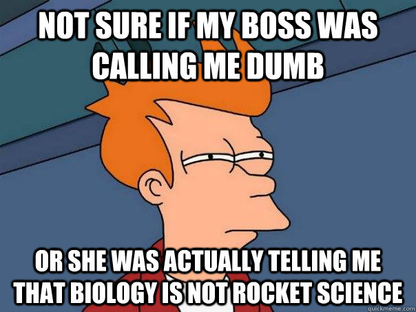 not sure if my boss was calling me dumb or she was actually - Futurama Fry