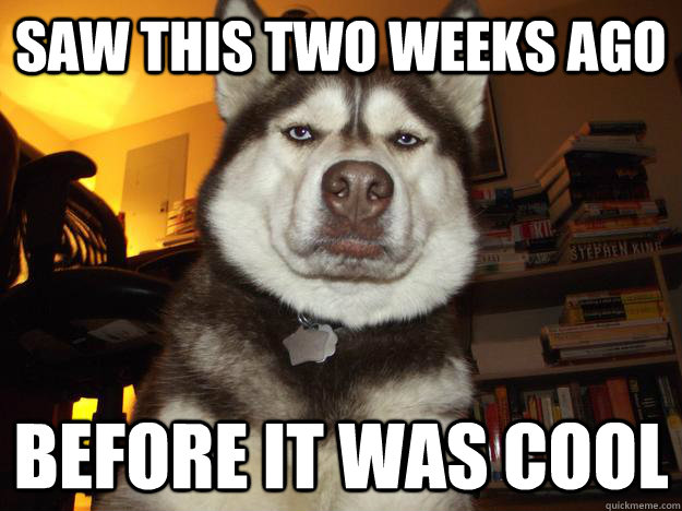 saw this two weeks ago before it was cool - Hipster Husky
