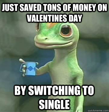 just saved tons of money on valentines day by switching to - Geico