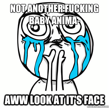 not another fucking baby anima aww look at its face - Cuteness overload