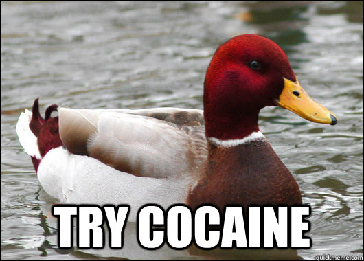try cocaine - Malicious Advice Mallard