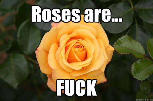 roses are fuck -