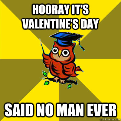 hooray its valentines day said no man ever - Observational Owl
