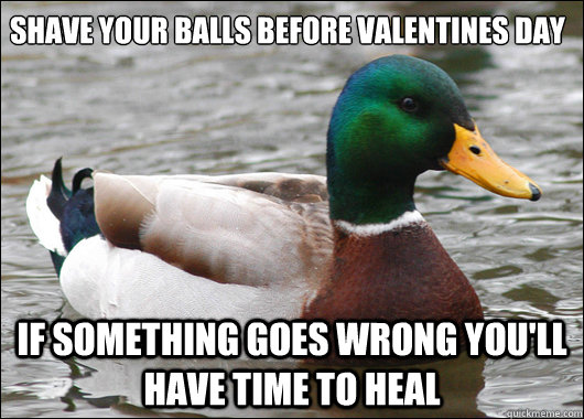 shave your balls before valentines day if something goes wro - Actual Advice Mallard