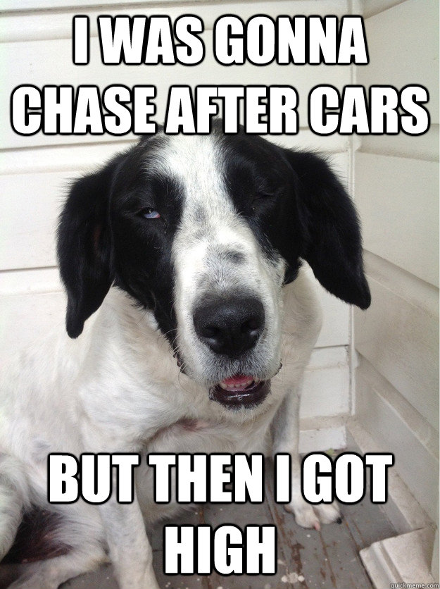 i was gonna chase after cars but then i got high -
