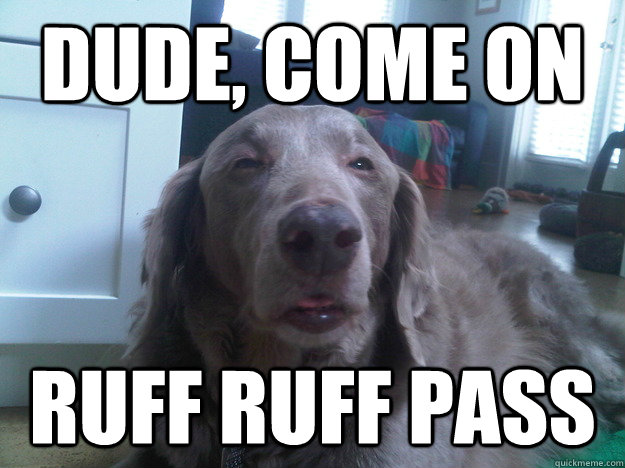 dude come on ruff ruff pass - 10 Dog