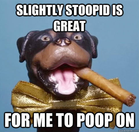 slightly stoopid is great for me to poop on - triumph the insult comic dog