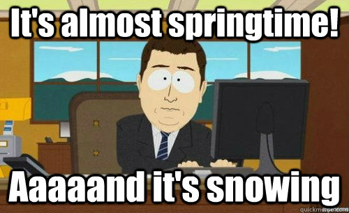 its almost springtime aaaaand its snowing - anditsgone