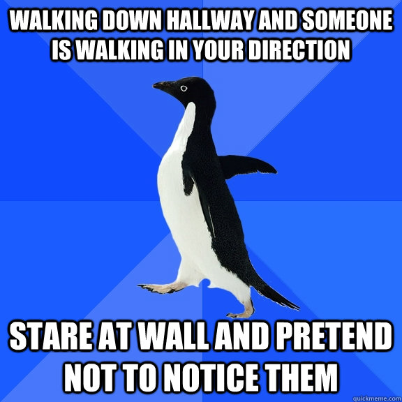 walking down hallway and someone is walking in your directio - Socially Awkward Penguin