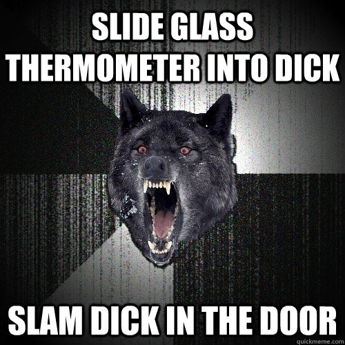 slide glass thermometer into dick slam dick in the door - Insanity Wolf