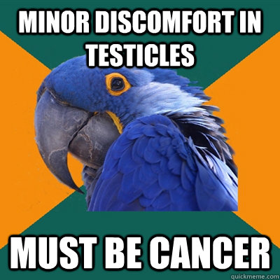 minor discomfort in testicles must be cancer - Paranoid Parrot