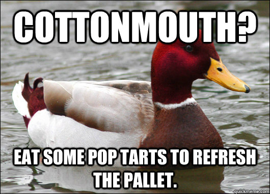 cottonmouth eat some pop tarts to refresh the pallet - Malicious Advice Mallard