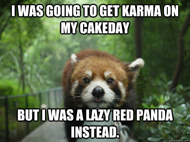 i was going to get karma on my cakeday but i was a lazy red - Lazy Red Panda