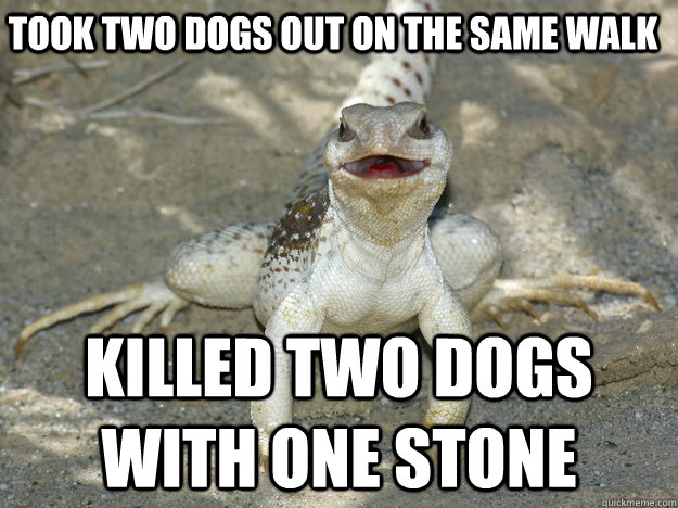 took two dogs out on the same walk killed two dogs with one -