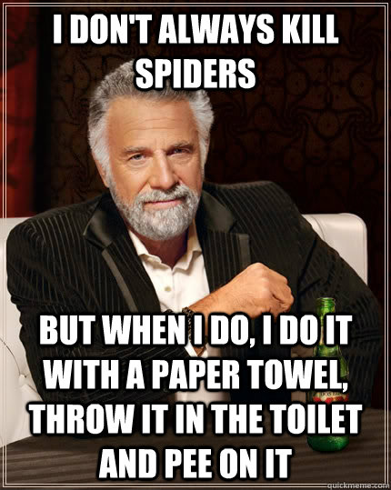 i dont always kill spiders but when i do i do it with a pa - The Most Interesting Man In The World