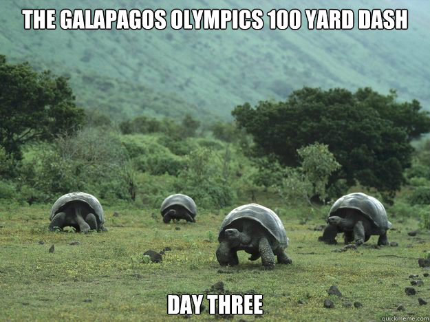 the galapagos olympics 100 yard dash day three - TMNT, the later years