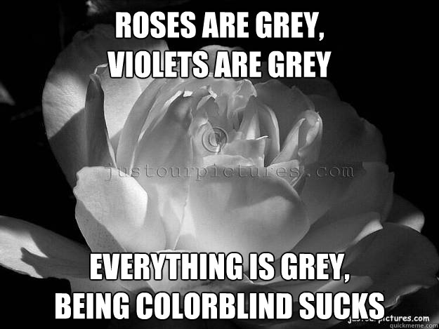roses are grey violets are grey everything is grey being -