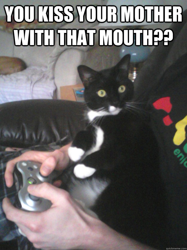 you kiss your mother with that mouth  - shocked xbox cat