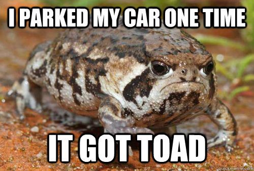 i parked my car one time it got toad - Grumpy Toad