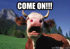 come on - Pissed Off Cow