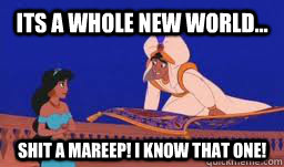 its a whole new world shit a mareep i know that one - aladdin