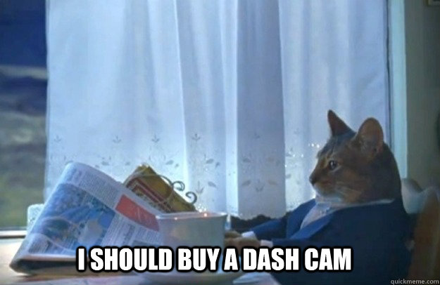 i should buy a dash cam - Sophisticated Cat