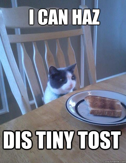 i can haz dis tiny tost - Breakfast Cat