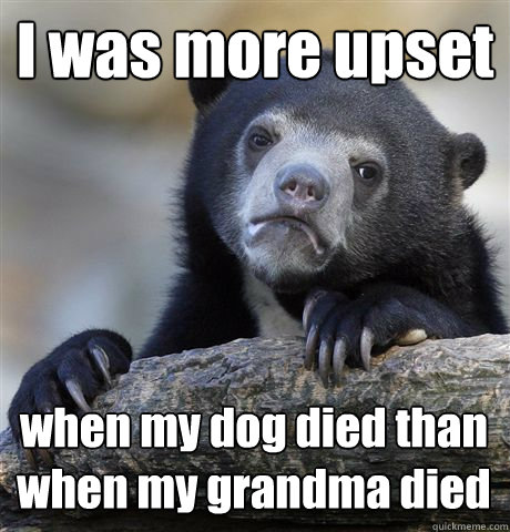 i was more upset when my dog died than when my grandma died - Confession Bear