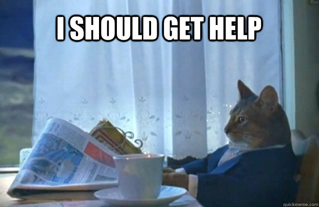 i should get help - Sophisticated Cat