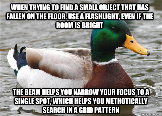 when trying to find a small object that has fallen on the fl - Actual Advice Mallard