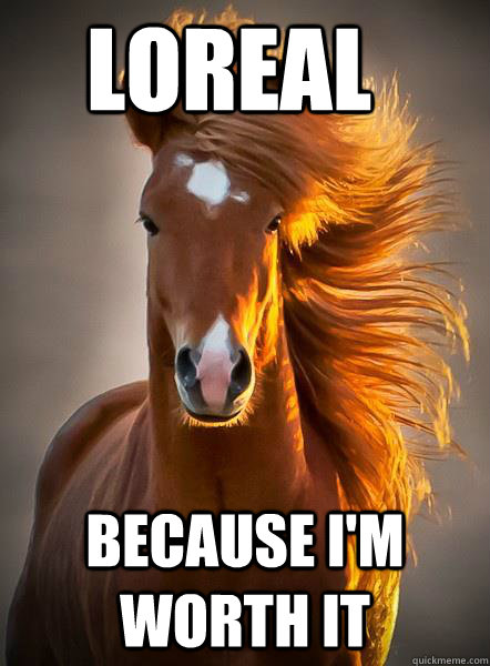 loreal because im worth it - Ridiculously photogenic horse