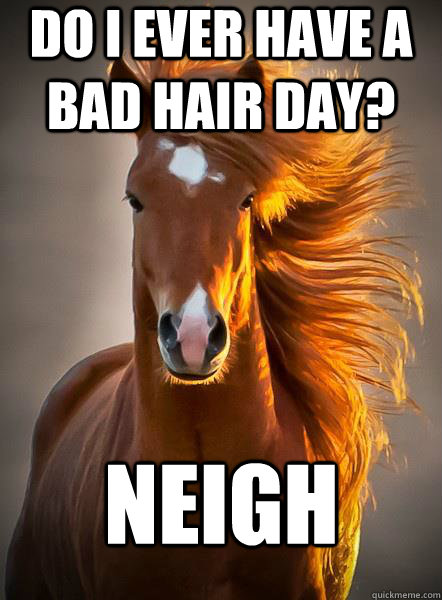 do i ever have a bad hair day neigh - Ridiculously Photogenic Horse