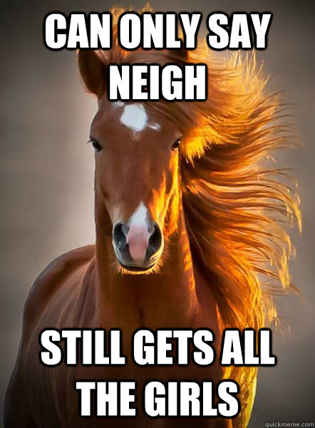 can only say neigh still gets all the girls - Ridiculously Photogenic Horse